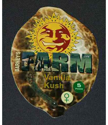 Vanilla Kush Feminised Seeds - 5