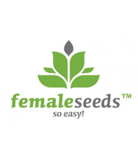 Indoor Mix Feminised Seeds 