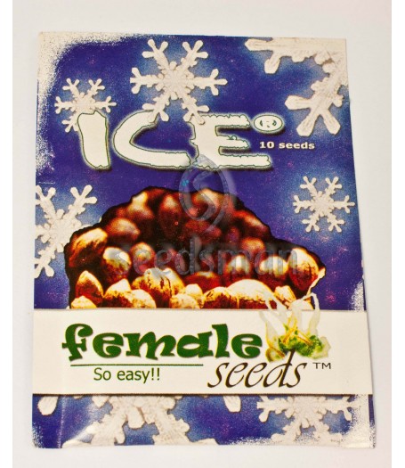 Ice Feminised Seeds - 10