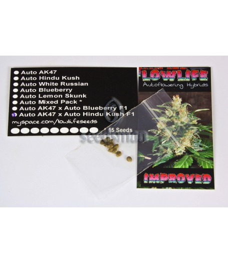 Automatic AK74 x Automatic Hindu Kush Regular Seeds