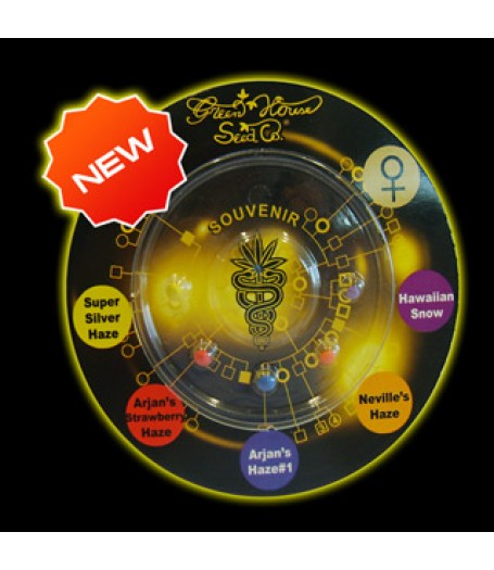 Sativa Mix Feminised Seeds