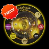 Sativa Indica Mix C Feminised Seeds