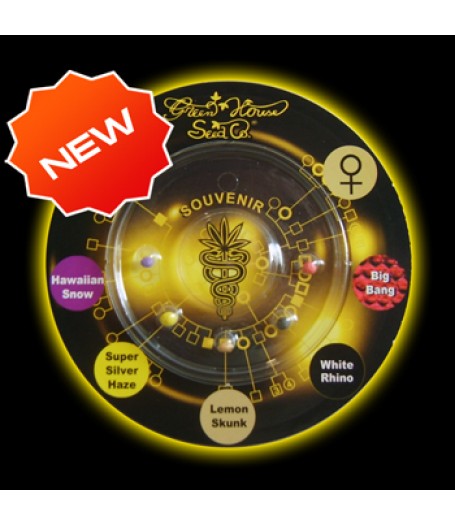 Sativa Indica Mix C Feminised Seeds