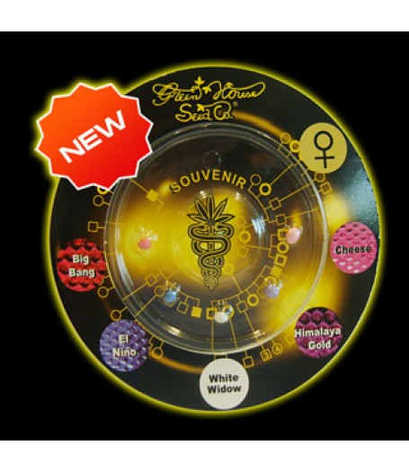 Indica Mix E Feminised Seeds