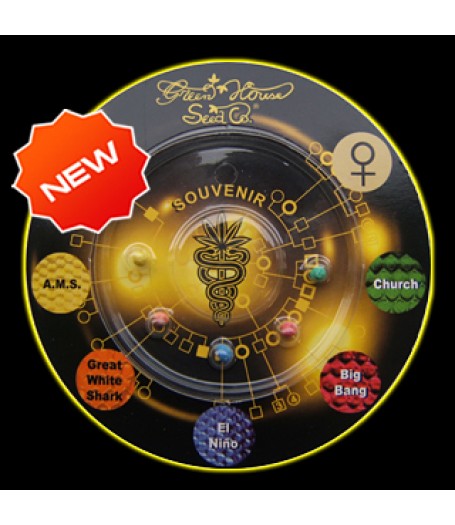 Sativa Indica Mix F Feminised Seeds