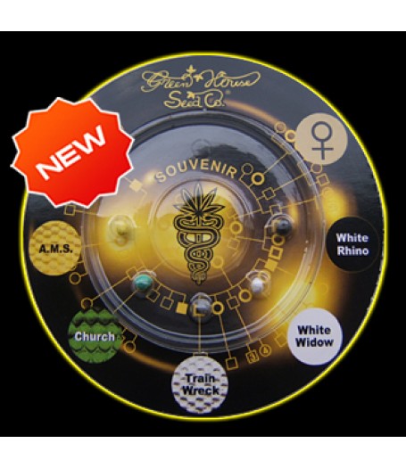 Indica Mix G Feminised Seeds