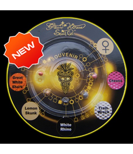 Indica Mix H Feminised Seeds