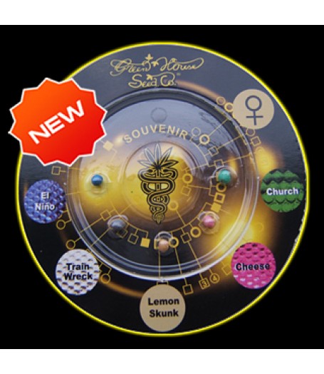 Indica Mix I Feminised Seeds