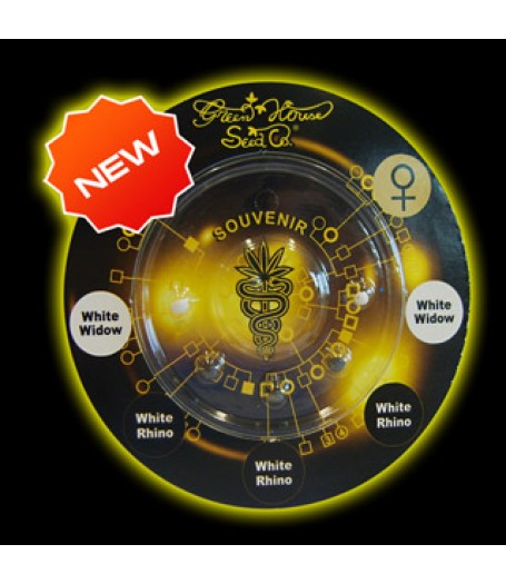 Black and White Mix Feminised Seeds