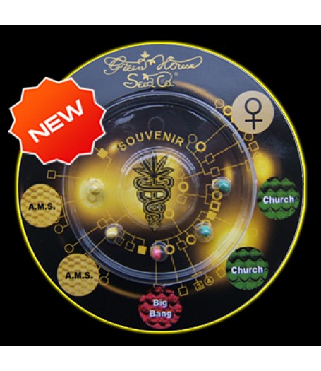 Rasta Mix Feminised Seeds