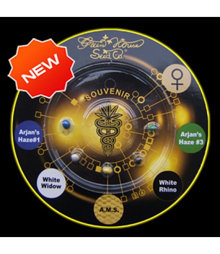 Sativa Indica Mix B Feminised Seeds