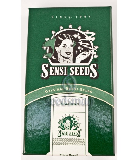 Silver Haze Regular Seeds