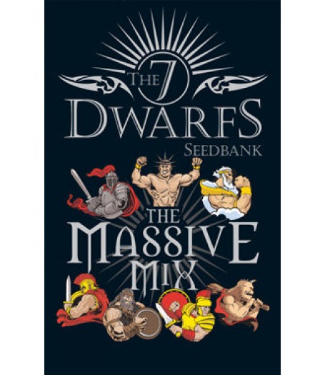 The Massive Mix Pack Autoflowering Feminised Seeds