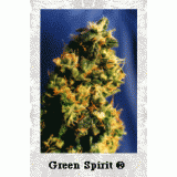 Green Spirit Feminised Seeds