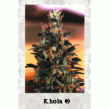 Khola Feminised Seeds