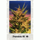 Passion #1 Feminised Seeds