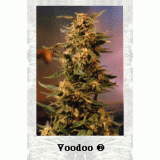 Voodoo Feminised Seeds